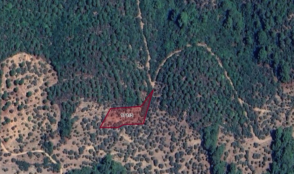 ANTALYA GÜNDOĞMUŞ NARAAĞCI KÖYÜNDE 1.113 M² TARLAMIZ SATILIKTIR. - ANTALYA GÜNDOĞMUŞ fotoğraf 3